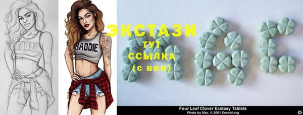 стафф Кодинск