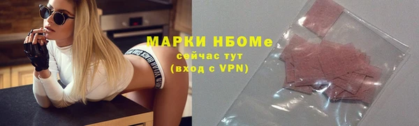 стафф Кодинск