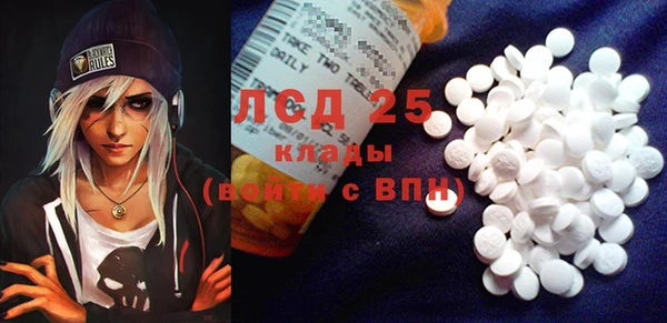 стафф Кодинск