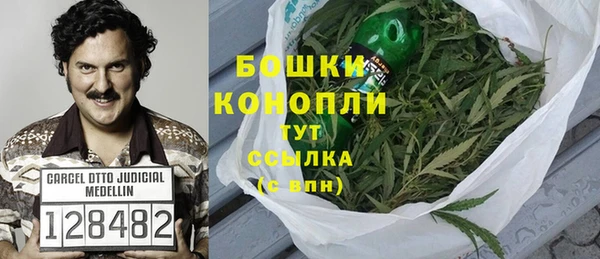 стафф Кодинск