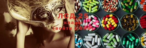 спиды Козловка