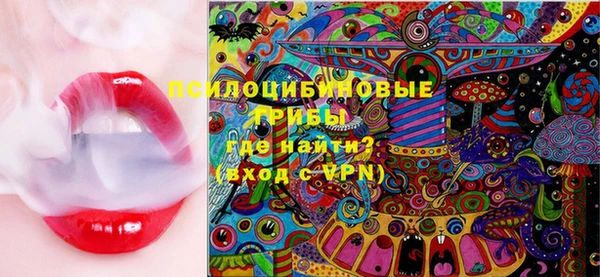 стафф Кодинск