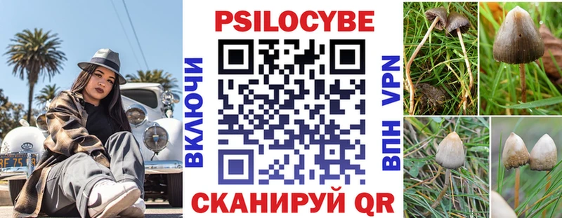 Псилоцибиновые грибы Psilocybe  купить   Невьянск 
